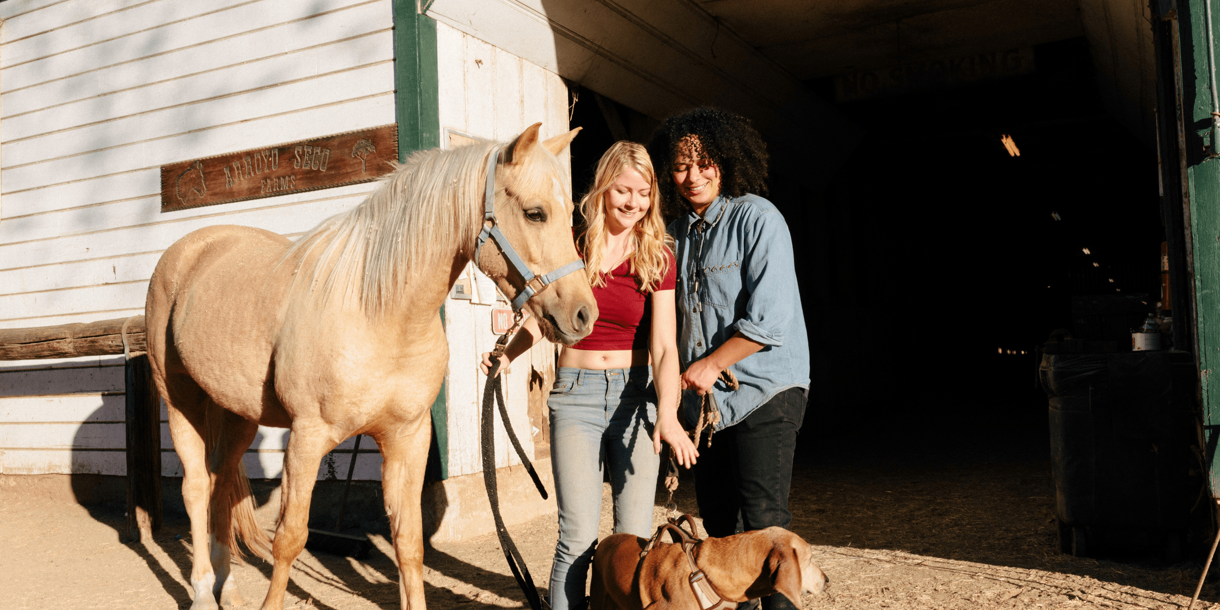 Photo of two people holding a horse by its reins